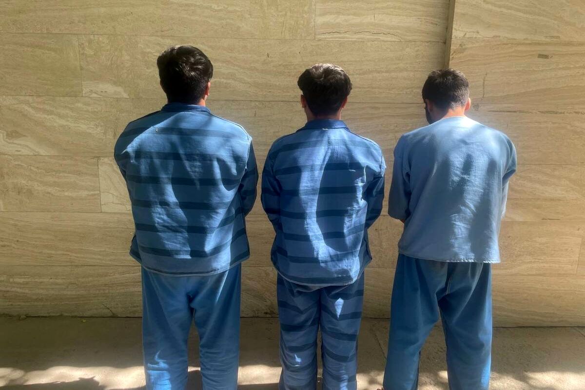 پلیس: سارقان مجتمع مسکونی اساتید در غرب تهران دستگیر شدند