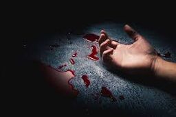 قتل در جشن تولد/ رقص چاقو کیک رفاقت را به خون نشاند