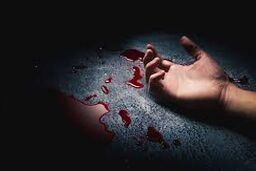 قتل در جشن تولد/ رقص چاقو کیک رفاقت را به خون نشاند