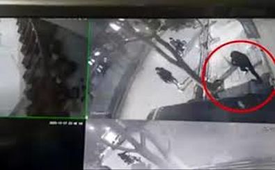 حمله به یک مرد جوان و زورگیری و قمه‌کشی در بلوار دانشجو مشهد/ ویدئو