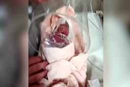 نوزادی که زنده زنده به سردخانه رفت / فاجعه تلخ در بیمارستان امام سجاد شهریار