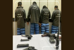 ردپای باند ببرهای وحشی در 3جنایت