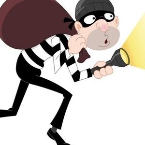 دزدی خانوادگی در خیابان نیکبخت اصفهان/ ویدئو
