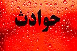 پایان گریه های دختربچه گمشده در وارمین 