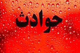 پایان گریه های دختربچه گمشده در وارمین 