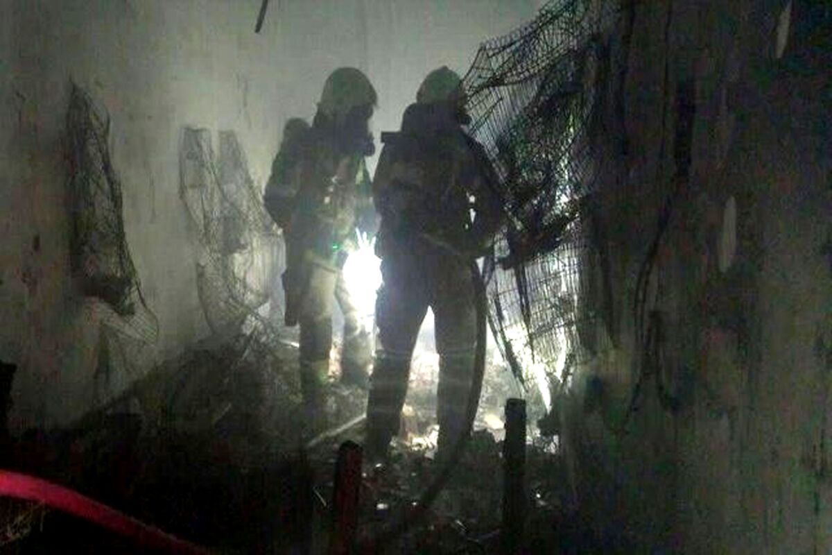 نجات ۳۰ نفر از حریق یک پرنده‌فروشی در خلازیر