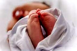 آغاز تحقیقات جنایی درباره کشف جسد نوزاد ۱۰ روزه