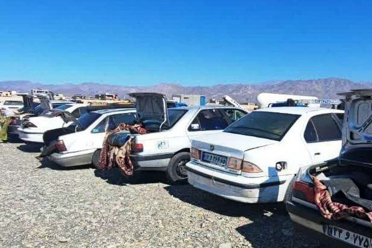 توقیف18دستگاه خودروی حامل سوخت قاچاق در کرمان