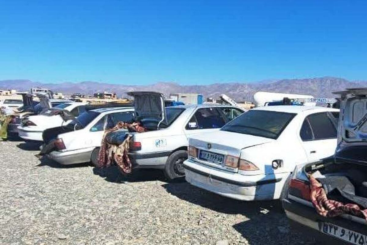 توقیف18دستگاه خودروی حامل سوخت قاچاق در کرمان