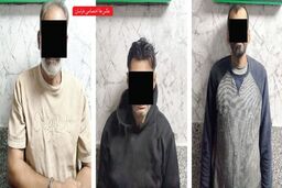 دستگیری اعضای باند دستبرد به خانه‌های خالی از سکنه 
