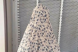 اعتراف پرستار به سرقت گردنبند طلا از مهمانان سالمندی که از او نگهداری می‌کرد/ ویدئو