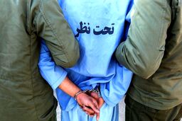  بازداشت شرور منتشر کننده فیلم در فضای مجازی  