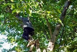 گردو تکانی امسال در همدان ۲ جان باخته و ۱۲۹ مصدوم برجای گذاشت 