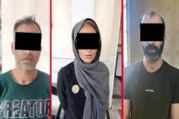 ماجرای تبهکاران باند«زبل»