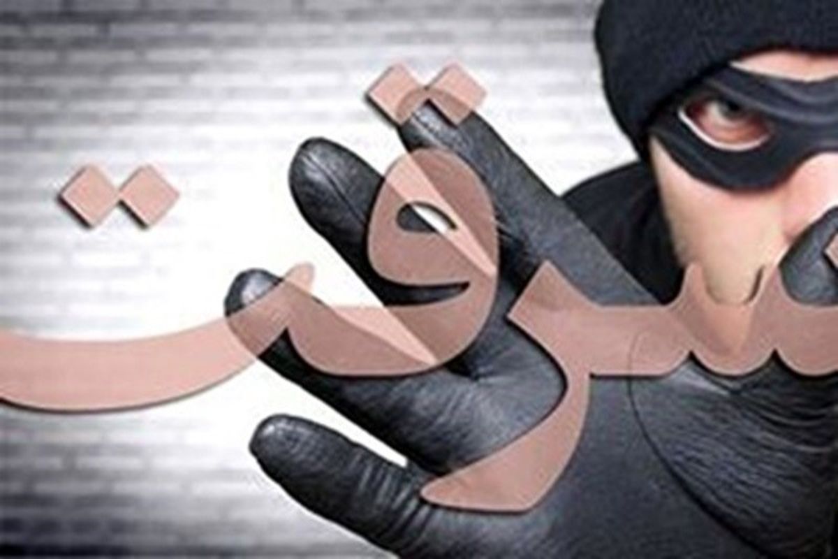 سرقت وحشیانه از زنی که بچه در آغوش داشت / ویدئو