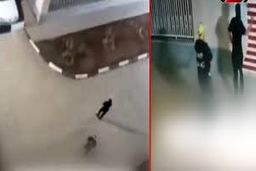 حمله داماد پرحاشیه واوان را به هم ریخت/ ویدئو