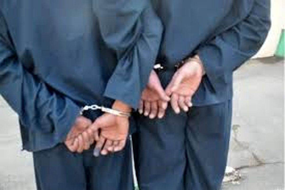 لحظه زورگیری از پیرزن ۷۲ ساله/ ویدئو