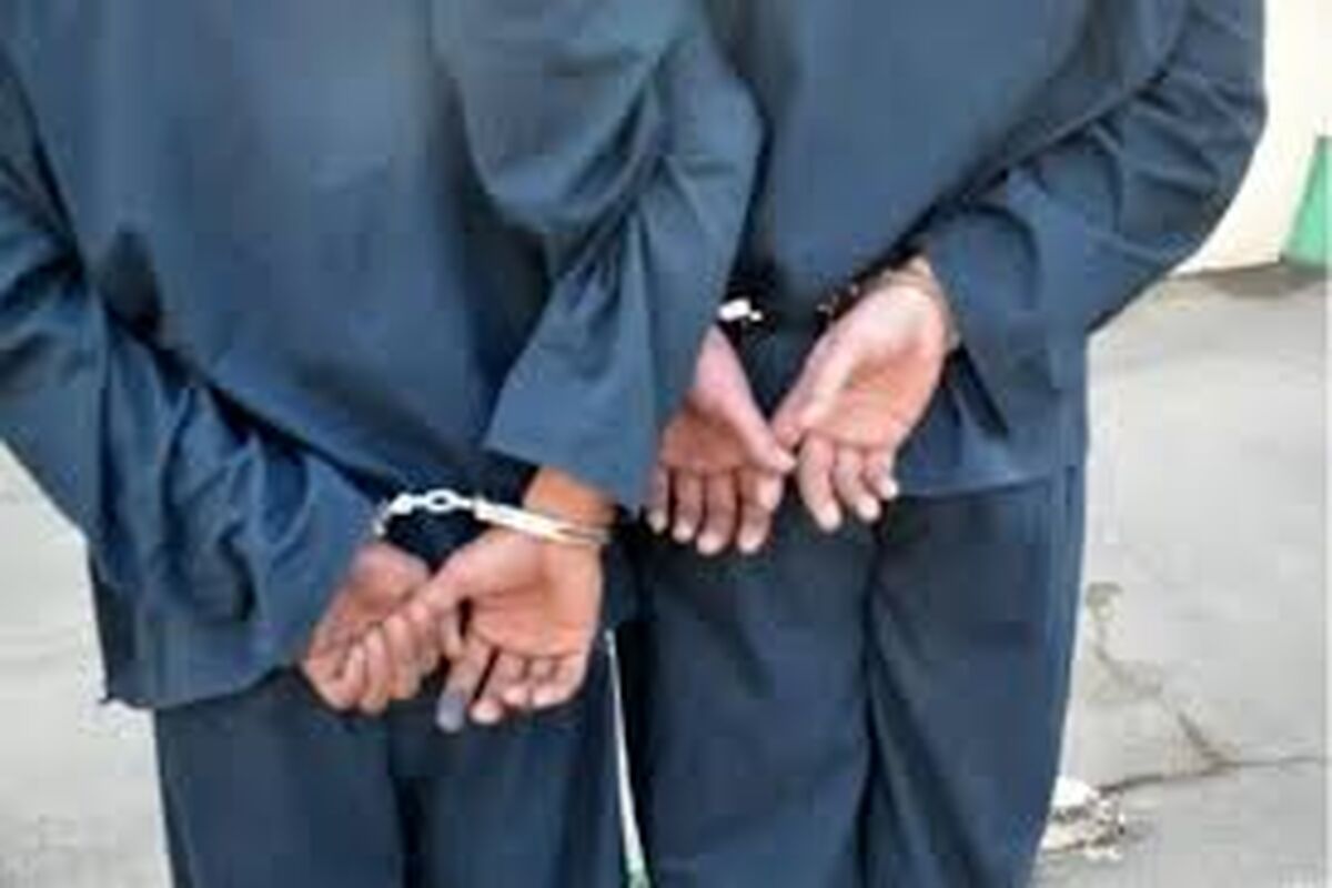 لحظه زورگیری از پیرزن ۷۲ ساله/ ویدئو