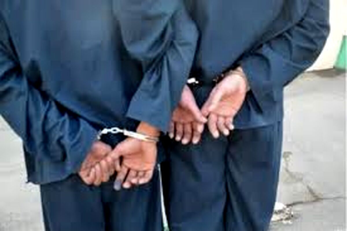 لحظه زورگیری از پیرزن ۷۲ ساله/ ویدئو