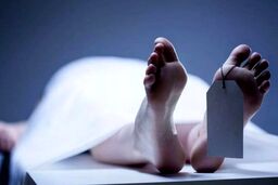 پایان شوم تماس زن همسایه با کمپ ترک اعتیاد