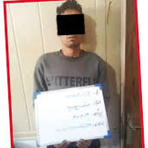 پلیس، شبح باغ ویلاها را از «دیوار»بیرون کشید