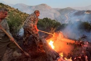 استمرار آتش‌سوزی در جنگل‌های هیرکانی/ ۶ نقطه گلستان گرفتار حریق است