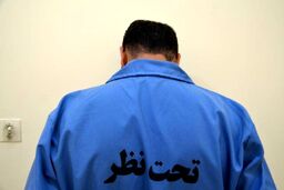 نقشه شوم پسر جوان برای دختران تهرانی/ 4 میلیارد تومان کلاهبرداری از دختران عشق ترکیه/ ویدئو