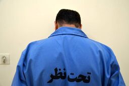 نقشه شوم پسر جوان برای دختران تهرانی/ 4 میلیارد تومان کلاهبرداری از دختران عشق ترکیه/ ویدئو