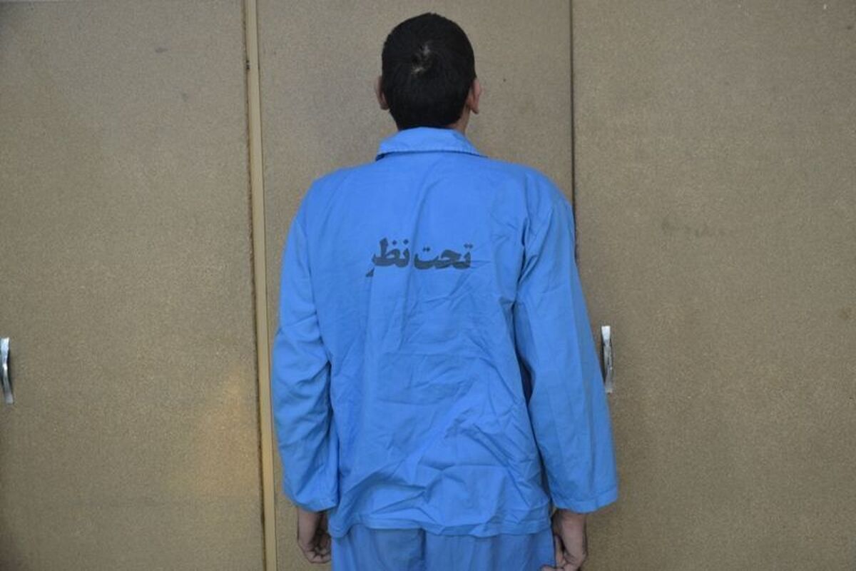 سرقت‌های سریالی برای نجات برادر از زندان