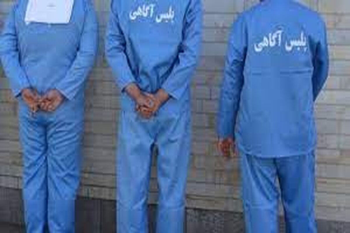 سرقت مسلحانه در رودبارجنوب ناکام ماند