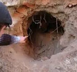 معمای کشف قبر قدیمی پشت دانشگاه