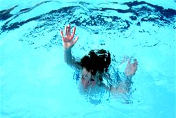 تور ماهیگیری بلای جان صیاد تالشی شد